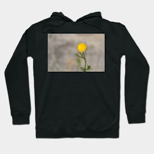 Buttercup Hoodie